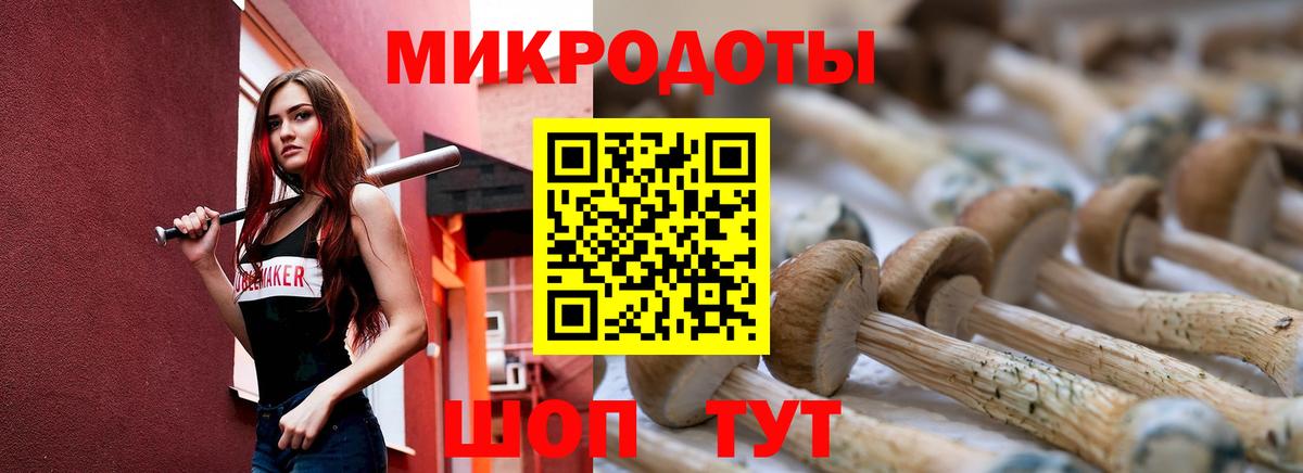 Новосибирск  Галлюциногенные грибы GOLDEN TEACHER  Вход с VPN 