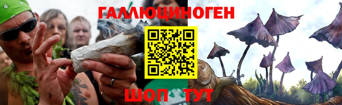 Галлюциногенные грибы мицелий Новосибирск